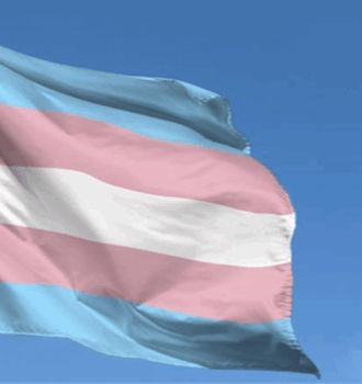 Transfobia no Ambiente de Trabalho