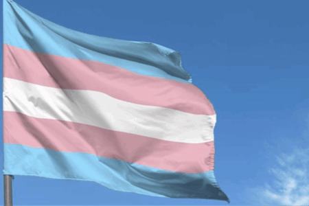 Transfobia no Ambiente de Trabalho