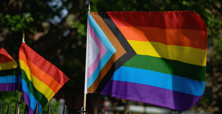 bandeira lgbtqiapn+